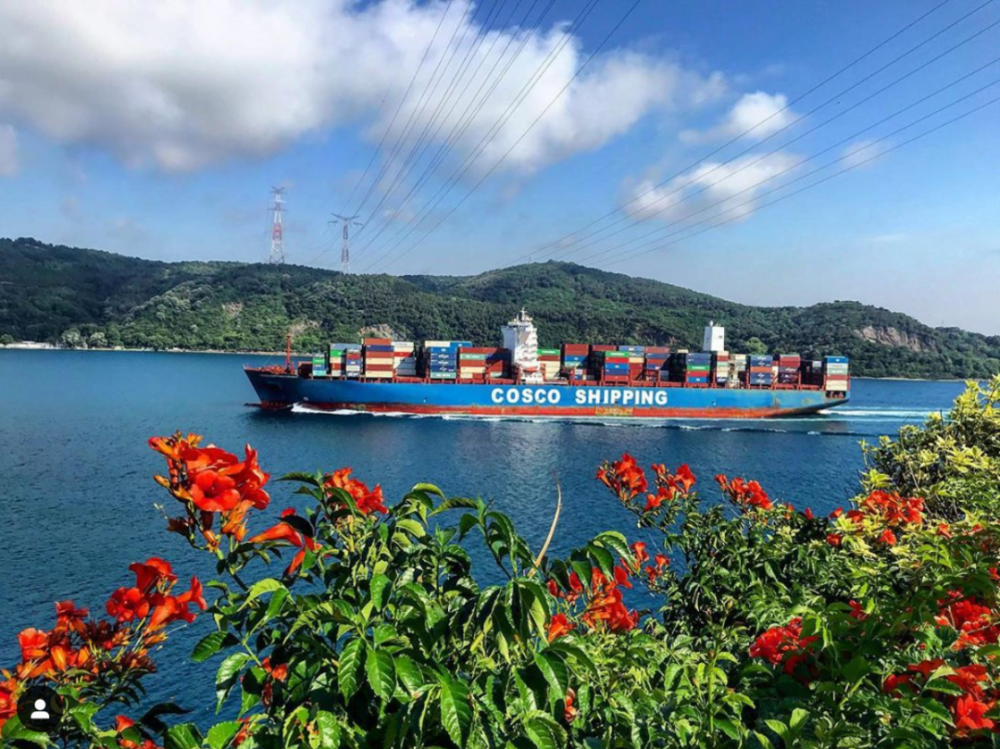 船期延误的“罪魁”之首，可能不是气象