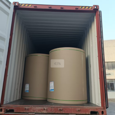 原木卷纸、纸张能够走集装箱海运吗，必要把稳什么？